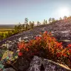 Image of Nature and Wildlife Tours
