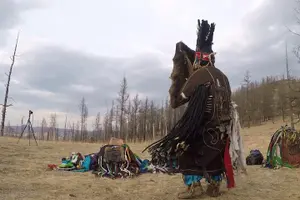 Tour image of 1 Session with Shaman and know your future tour