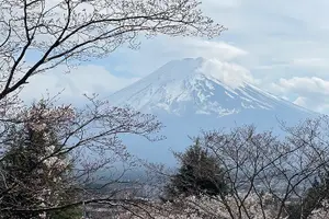 Tour image of Mount Fuji Private Day Tour by certified Guide & Licensed vehicle