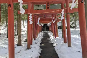 Tour image of Mt. Fuji Private Tour w/ local English speaking guide & activity