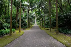 Tour image of Adventure in the Furnas, with volcanoes, lagoons and tea plantations