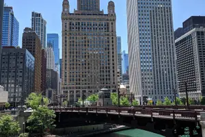 Tour image of Private Chicago Guided Tour with Hotel Pickup