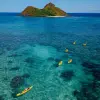 Image of Kayaking Tours