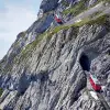 Image of Sightseeing Cruises