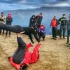 Image of Hiking Tours
