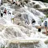 Image of Nature and Wildlife Tours