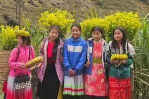 Tour image of Half Day Ha Giang Jeep Tour: Rice Terrace + Waterfall + City