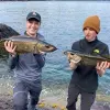 Image of Fishing Charters