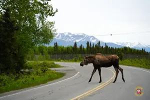 Tour image of Anchorage Trolley's Deluxe City Tour