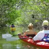 Image of Kayaking Tours