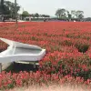 Image of Art Tours