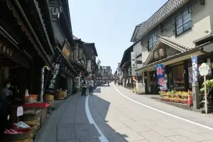 Tour image of Narita Layover tour with National Licensed guide
