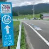 Image of Mountain Bike Tours