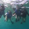 Image of Snorkeling