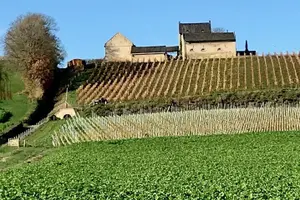 Tour image of Maastricht Privat Sightseeing City Walk