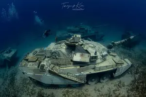 Tour image of Scuba Diving for Certified Divers