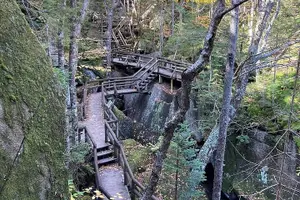 Tour image of Boston Fall Foliage Day Trip to White Mountains, Lost River Gorge