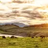 Image of Nature and Wildlife Tours