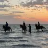 Image of Horseback Riding