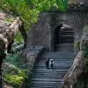Image of Nature Walks