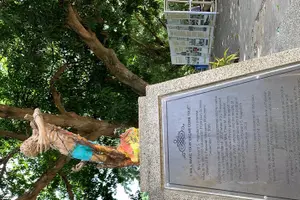 Tour image of Puerto Princesa City Tour