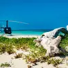 Image of Nature and Wildlife Tours
