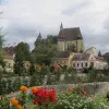 Image of Cultural Tours