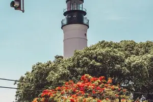 Tour image of Full-Day Key West Tour and Coral Reef Snorkeling with Open Bar
