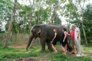 Tour image of Khaolak Elephant Sanctuary, Cooking Class and Waterfall Tour