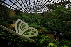 Tour image of Malaysia: Discover Nature's Wonders with Entopia Entry Ticket