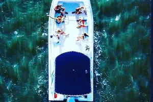 Tour image of 90 Minute Hilton Head Dolphin Tour