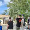Image of Nature and Wildlife Tours