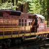 Image of Nature and Wildlife Tours