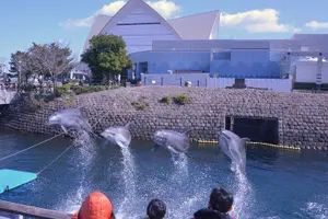 Tour image of Explore Kagoshima Sightseeing Spots by Kagoshima City View Bus