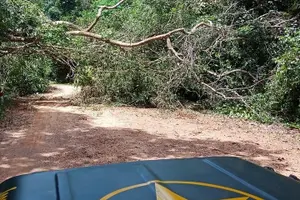 Tour image of Explore the north of Phu Quoc island by Classical US Army Jeeps
