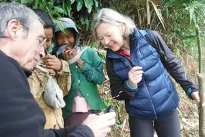 Tour image of Jungle Experience: 1 Day Trek in Nam Ha NPA