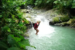 Tour image of Full Day Waterfall Adventure