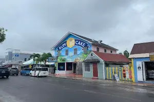 Tour image of Private Guided Island Tour in Nassau Bahamas -Free Wifi & Drinks