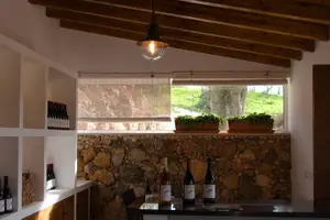 Tour image of Porches Algarve Vineyard Tour and Wine Tasting Experience