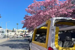 Tour image of Private Hollywood Bus Tour