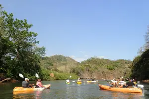 Tour image of Wildlife and Mangrove Kayaking Tour Río Ora
