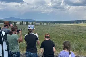 Tour image of Yellowstone in a Day - Grand Loop Yellowstone Tour