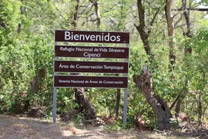 Tour image of Jungle Cruise at Palo Verde National Park