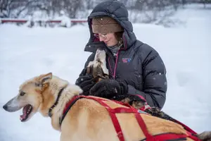 Tour image of Sled Dog Sampler Ride in Fairbanks