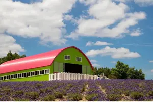 Tour image of Shikisai-no-Oka and Furano Tour with buffet lunch from Sapporo