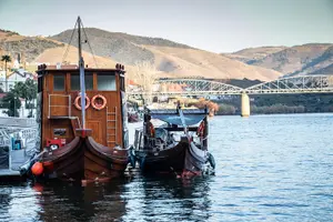 Tour image of Valley of the Douro Initiation Course