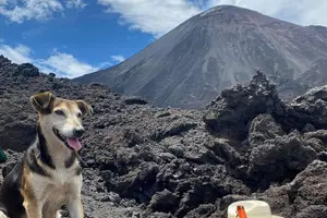 Tour image of Pacaya Volcano Luxury Sunset Horseback Riding Tour/ Dinner Cooked by-Lava Chef