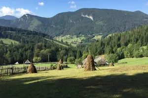 Tour image of Half-Day 4x4 Tour in the Eastern Carpathians