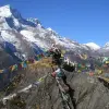 Image of Climbing
