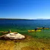 Image of Kayaking Tours